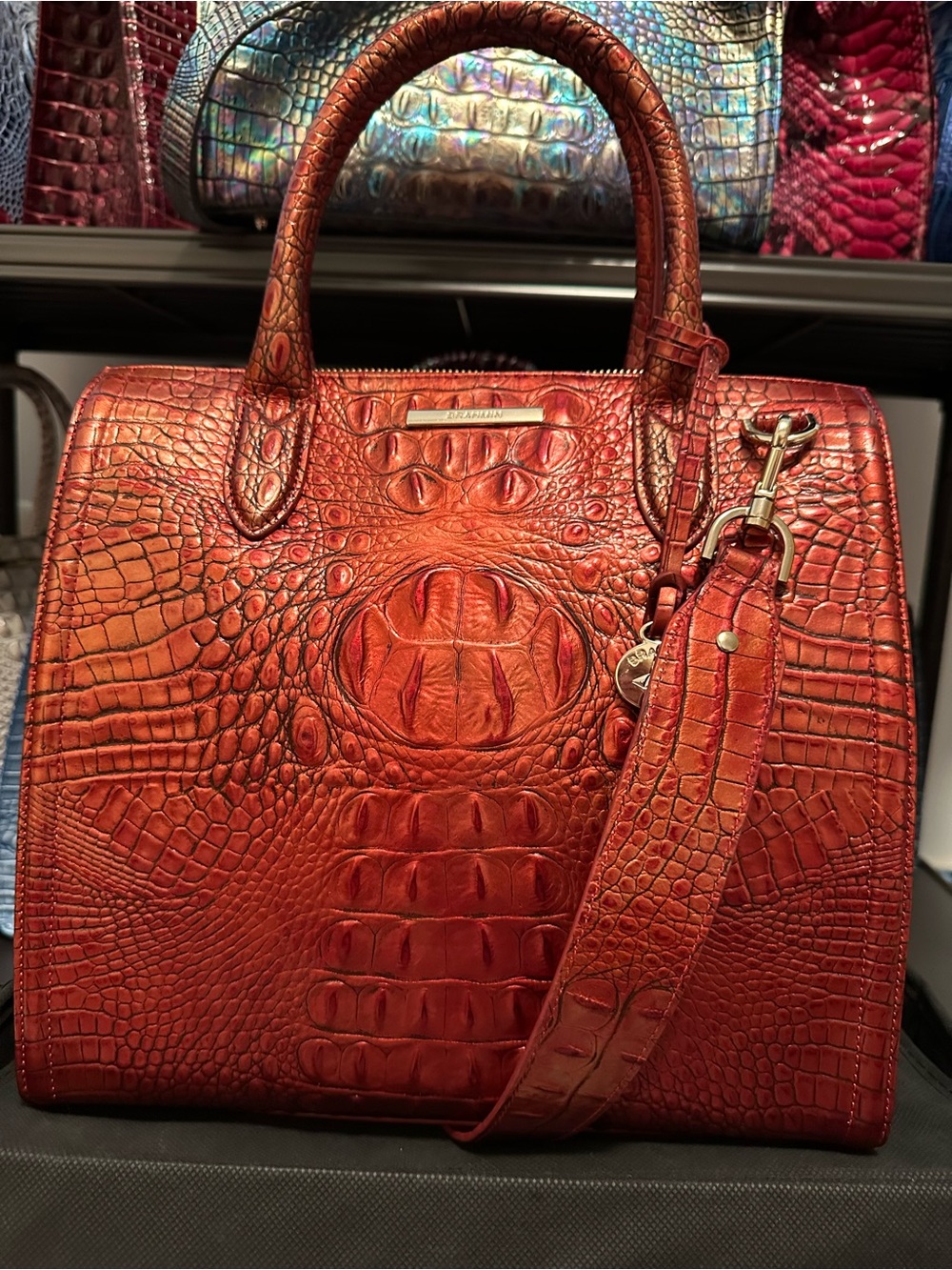 🌶️ Brahmin Chili Large Caroline Satchel